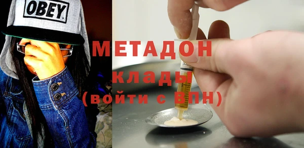 молекула духа Вяземский