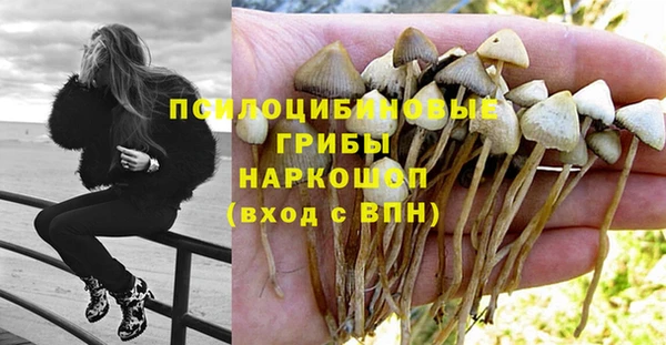 прущая мука Дмитриев