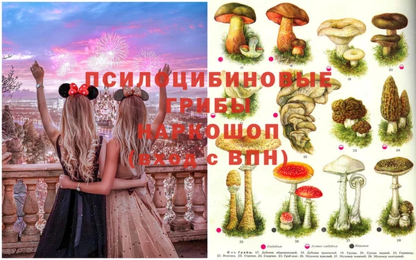 дурь Володарск