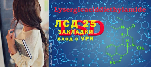 молекула духа Вяземский