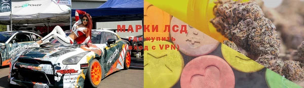 тгк Дмитров