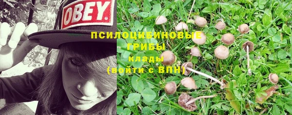 молекула духа Вяземский