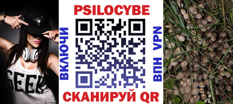 Купить где  Клинцы  Псилоцибиновые грибы Psilocybe 